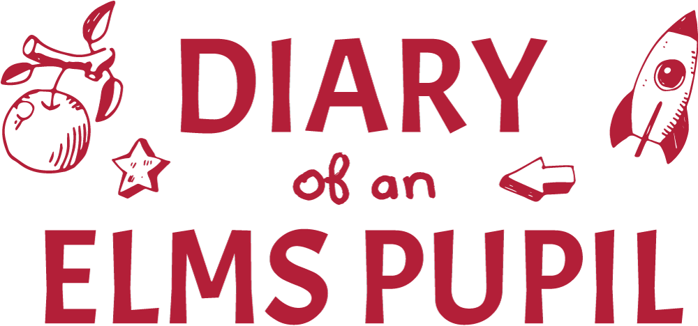 Diary of a Pupil